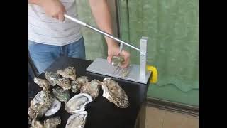 Oyster Opening machine, Prying oyster tools, batch Open oysters efficiently