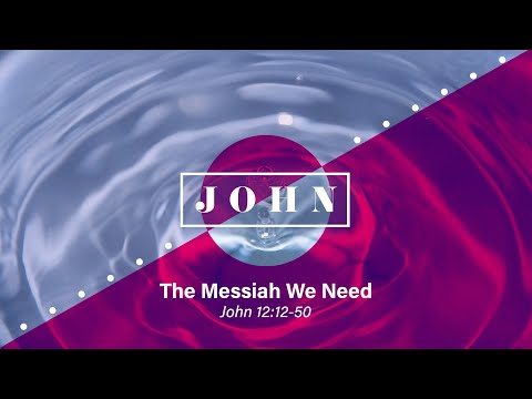 The Messiah We Need - John 12:12-50