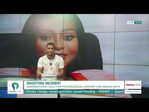 Dr. Adomako calls for Psychological Support for Adwoa Safo After Shooting Incident & Family Issues