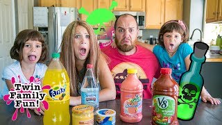 DISGUSTING - or Delicious?? - Drink Challenge!!! Gross, Nasty and Weird Flavors | Twin Family Fun