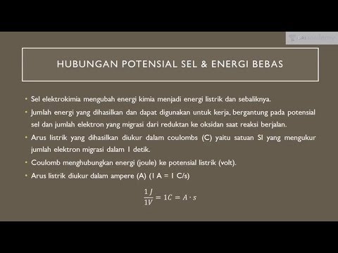 Makanan apa yang terbaik bagi potensi Titik di mana palu mengangkat torus