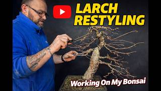 Restyling a Large Larch Bonsai | Structural Pruning Begins