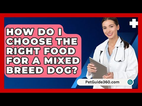 How Do I Choose The Right Food For A Mixed Breed Dog? - PetGuide360.com