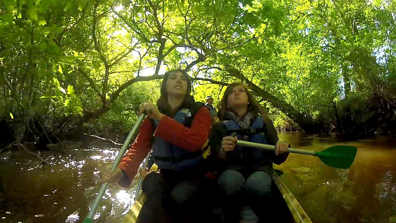 Le Parc naturel régional des Landes de Gascogne en canoë-kayak