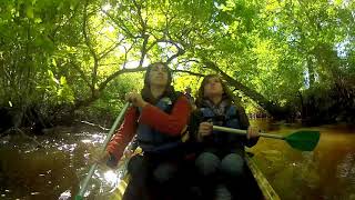 Le Parc naturel régional des Landes de Gascogne en canoë-kayak