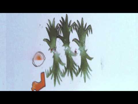 Tirzah - whats time mixtape