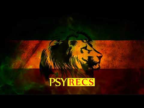 PSY-TRANCE ◉ Henrique Camacho, Vibration - Ragga-Tech