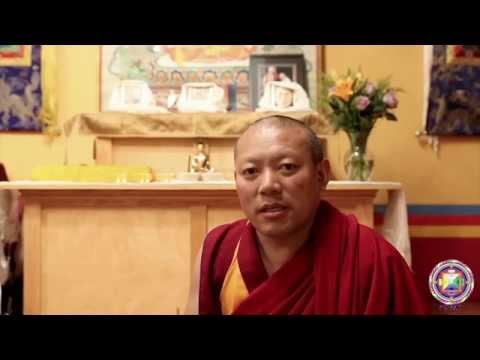 How can we develop more loving kindness in our lives? (Interview with Geshe Tenley)