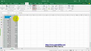 How to filter only integer numbers (whole numbers) or decimal numbers in Excel