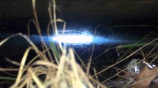 Fit for Rivals Cut off your hands Lyrics