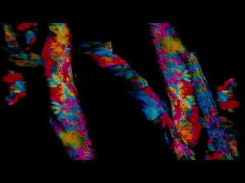 Nicolas Jaar - Against All Logic (((Organic Visuals)))