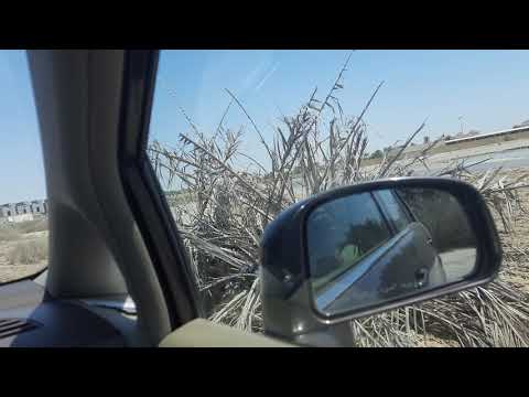 Bahrain karzakan Beach
