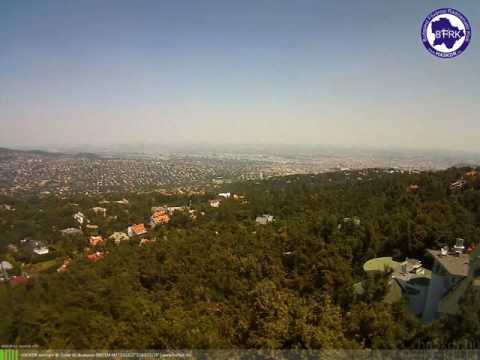 Őzike kelet 2016-07-12