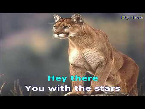 Hey There - Bette Midler