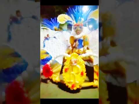 carnavales puerto Píritu Anzoátegui 2026 #turismo #tradiciones #viralvideo