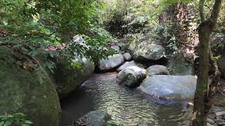 Download lagu Hidden Gem Lubuk Petai Rembau Negeri Sembilan mp3