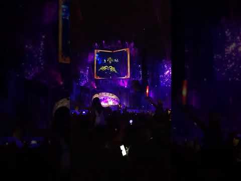 Tomorrowland 2019 - Somebody That I Used To Know x Calling | live from the crowd | 3 Are Legends