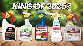 Best 7 Insect Killer You Need in 2025 NOW
