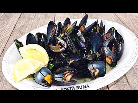 download lagu mp3 mp4 Midii In Sos De Vin Si Smantana, download lagu Midii In Sos De Vin Si Smantana gratis, unduh video klip Midii In Sos De Vin Si Smantana