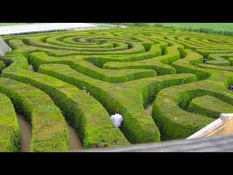 SciMax Facts 3 - Amazing Facts