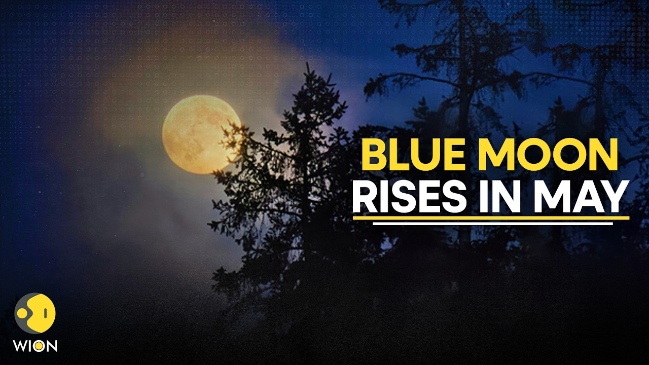 Blue Moon: Rare Blue Moon Expected To Dazzle Skywatchers At End Of May 2026 | WION Originals