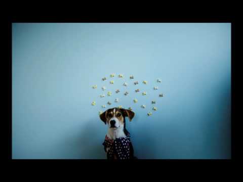 Darius Žvirblis - "Pudelis Už Borto" (EP) 2015