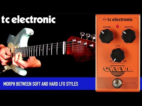 TC Electronic Choka Tremolo 2020 - Present - Orange - Vintage Tremelo Vibrato image 7