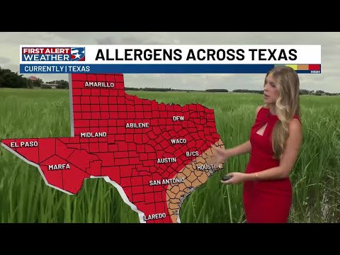 Ragweed Forecast
