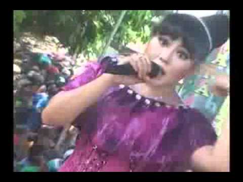 NEW PALAPA WEDHUS WIWIK SAGITA