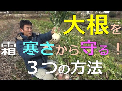 庭を寒さや霜から守る肥料は何ですか?この冬おすすめの5本をご紹介します!  庭園