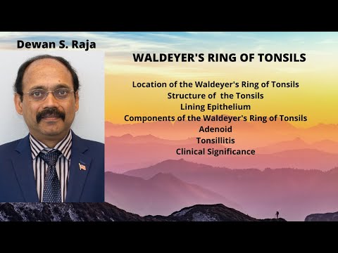 WALDEYER'S RING OF TONSILS