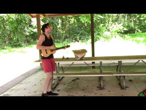 Will Wood Picnic - Love, Me Normally (1/10)