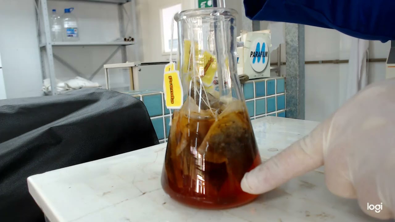 Extração da Cafeína do Chá Preto e Purificação por Recristalização - Química Orgânica Experimental