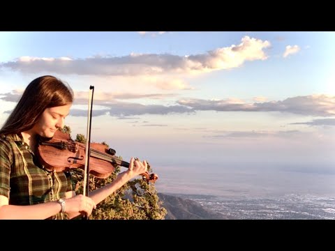 The Curlew/The Broken Pledge (reels)