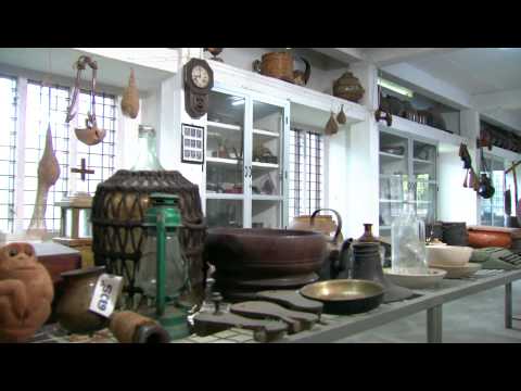 Thani Nadan I Ep 88 Part 1 - Chakka puzhukkum varutharacha nadan kozhiyum recipe I Mazhavil Manorama