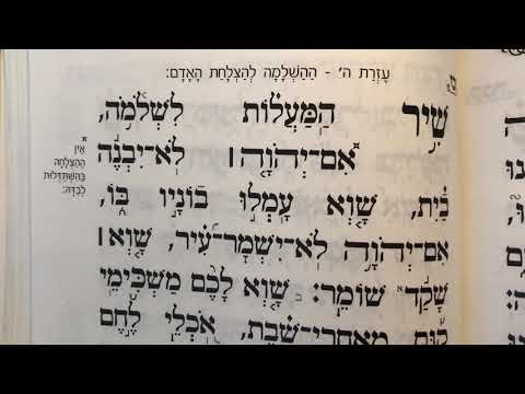 Tehillim psalm 127