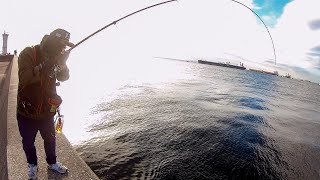【神奈川県釣り】朝の沖堤防でドラゴン2匹釣り上げる!!!