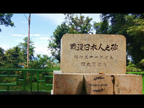 INI ALASAN JEPANG KEMBALI KE GUNUNG MEJA USAI PERANG DUNIA KE-2 || PAPUA BARAT