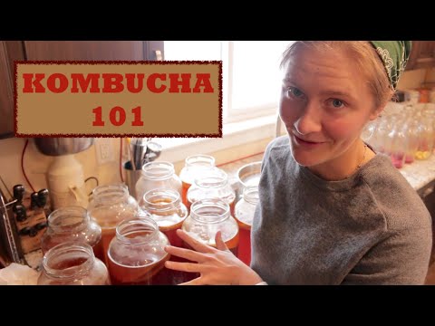 Kombucha: Getting Started