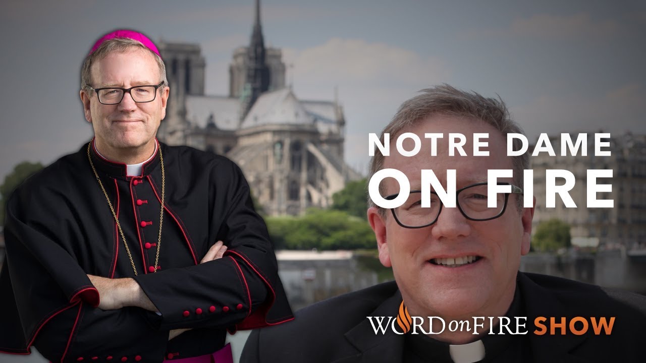 Bishop Barron on the Cathedral of Notre Dame Fire