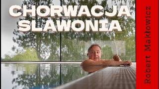 Lipicany i czarne świnie (odc. 290)