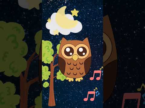 La lechuza hace sshh 🌠🌟🦉#paraniños #cancionesinfantiles
