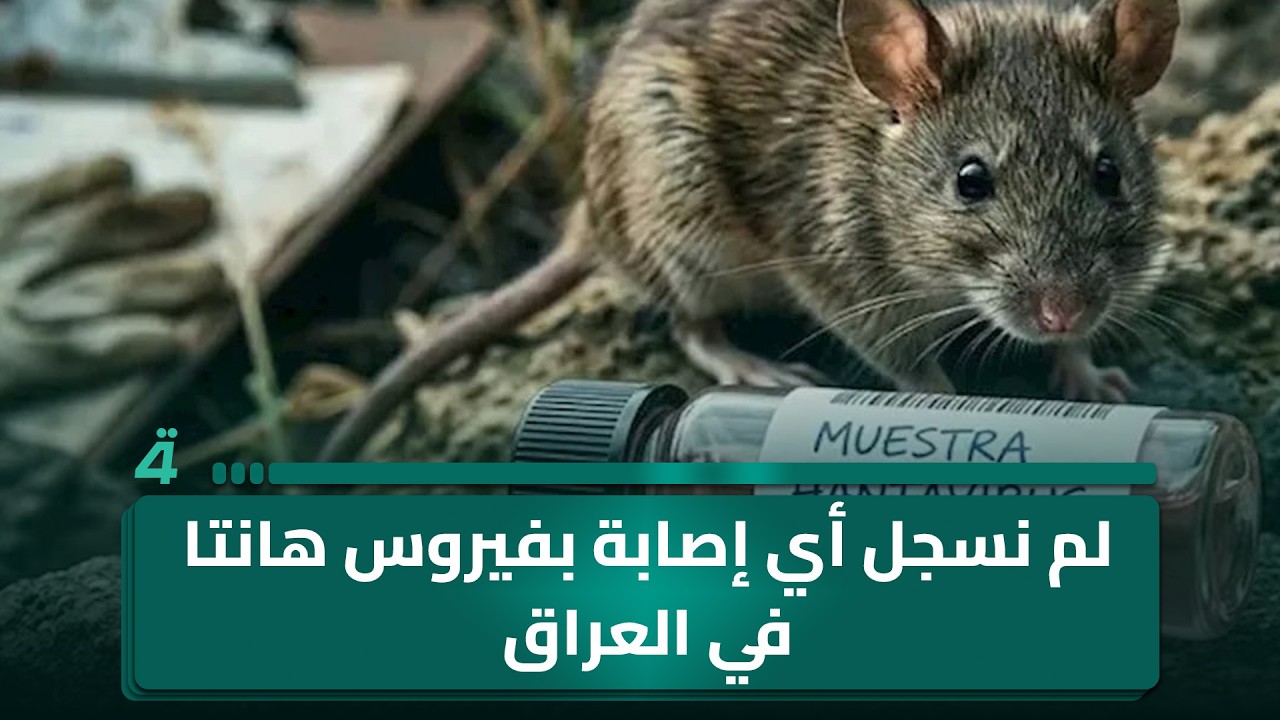 فيديو | المتحدث باسم وزارة الصحة سيف البدر: لم نسجل أي إصابة بفيروس هانتا في العراق