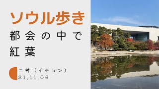 ソウル歩き 二村(イチョン) 都会の真ん中で紅葉を散歩 21.11.06