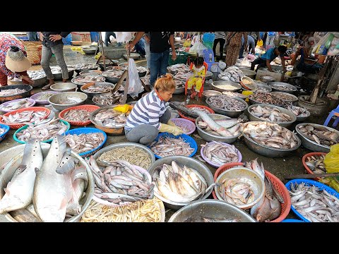 Cambodian Daily Food Market Scenes - Largest Distribution Wholesale Site Fish in Phnom Penh City
