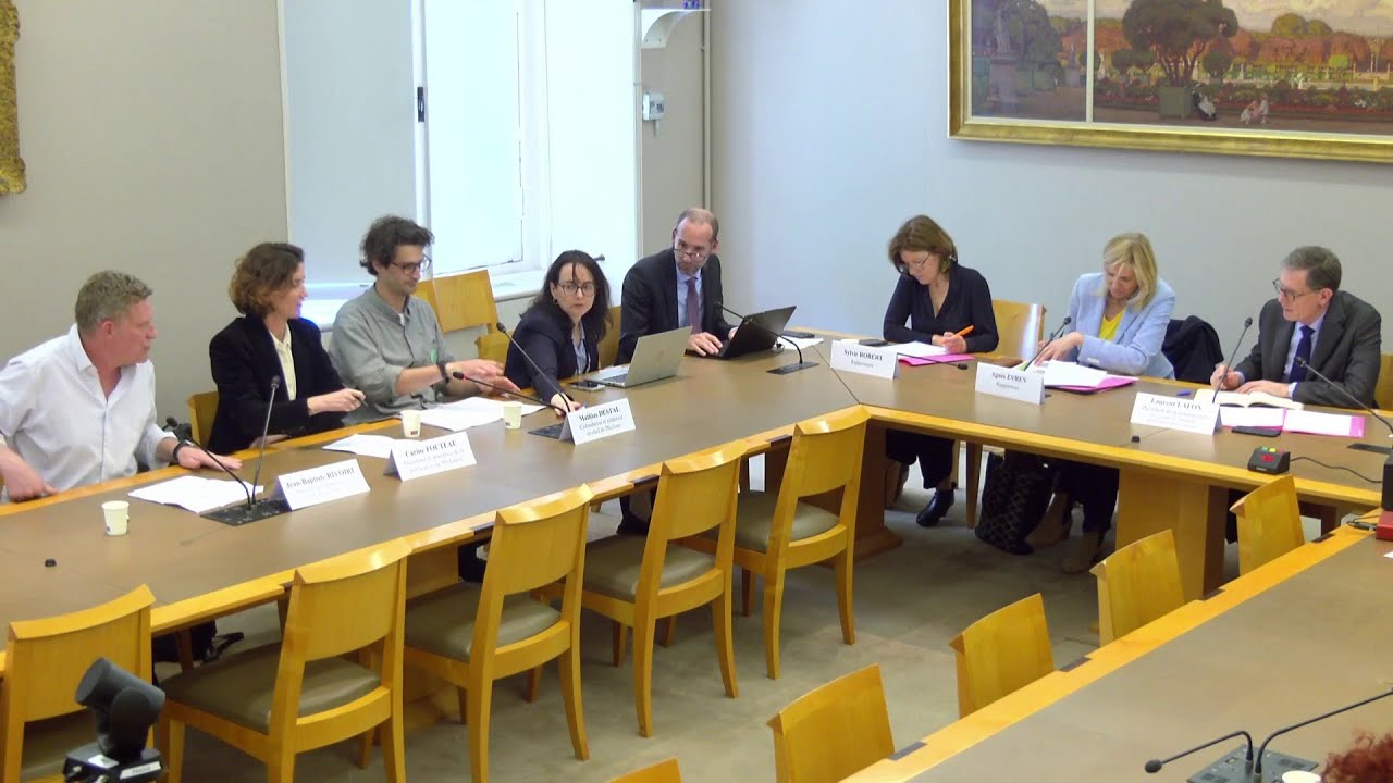 Illustration: Médiapart face au Sénat : le journal qui dérange trop