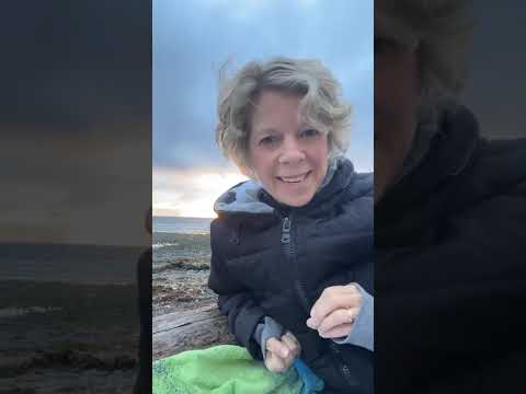 Toolbox Tuesday-#166 - When Life Is the Map: Surrendering the Grip and Letting the Journey Guide You