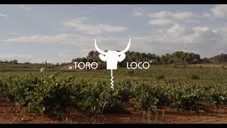 Meet Toro Loco® the great wine from Utiel Requena, Spain