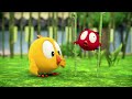 NEW Where S Chicky S3 Funny Poyo Cartoon In English For Kids New Episodes