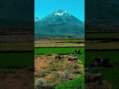 volcán yucamani , candarave Tacna